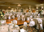 Holiday Inn University of Memphis, Memphis