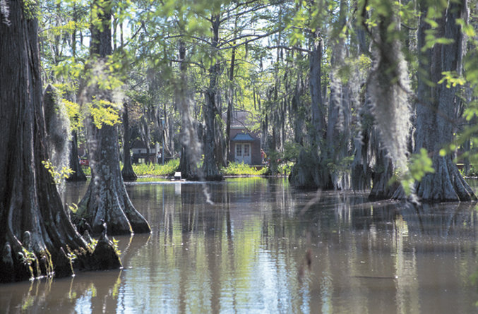 Staybridge Suites Lafayette-Airport - Krotz Springs, LA