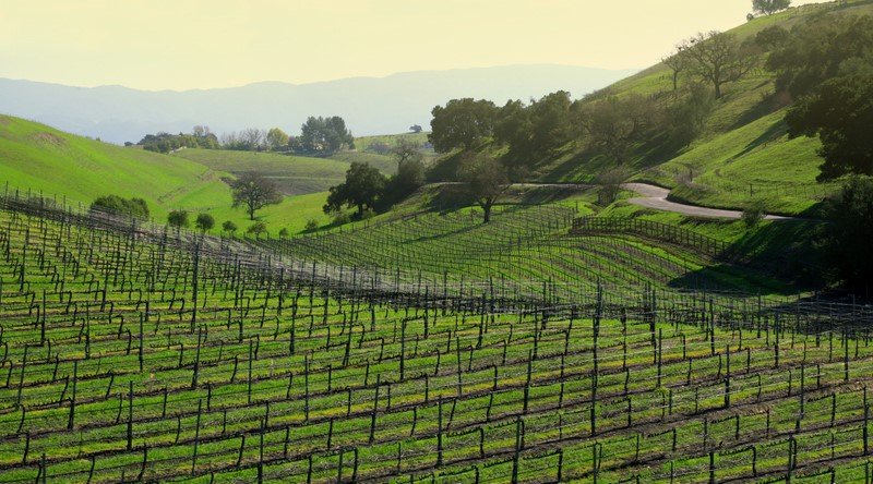 Holiday Inn Express - Lompoc, CA