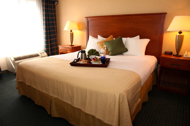 Holiday Inn Peoria-City Centre - Peoria, IL