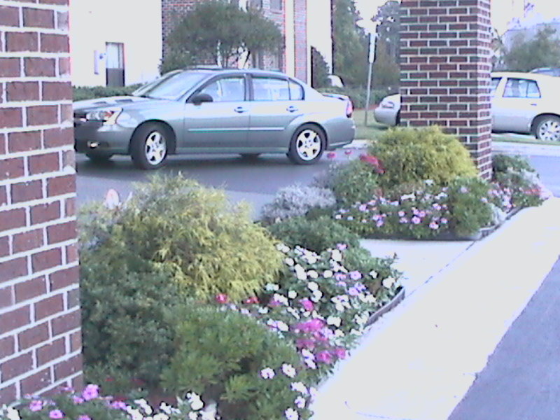 Holiday Inn Express PLYMOUTH - Kelford, NC