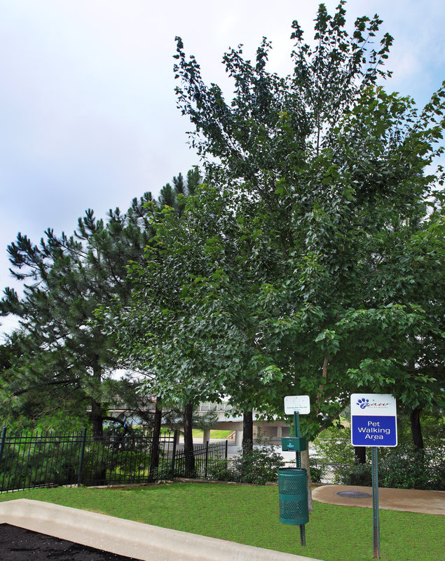 Candlewood Suites-West Little - North Little Rock, AR