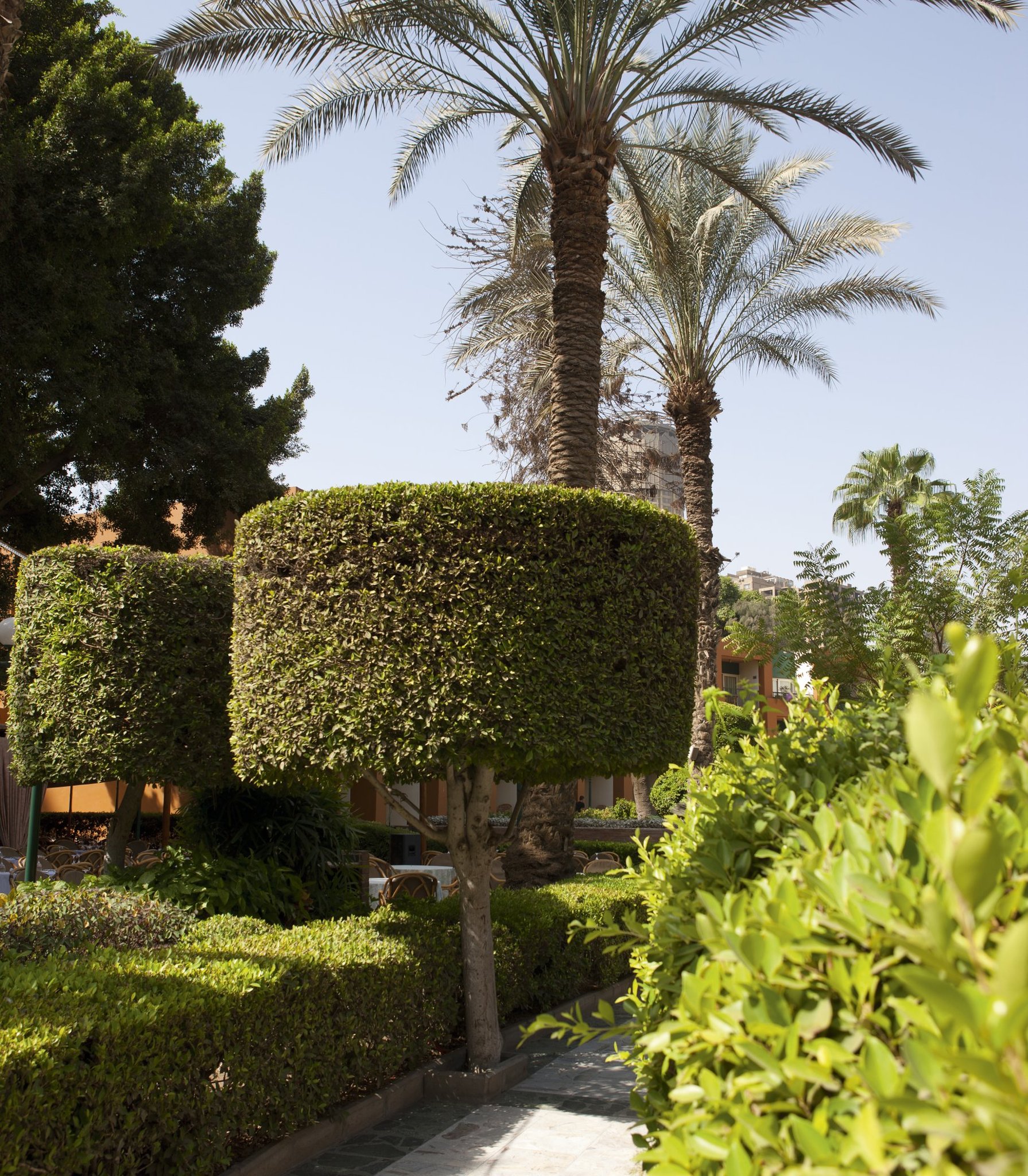 Cairo Marriott Hotel & Omar Khayyam Casino