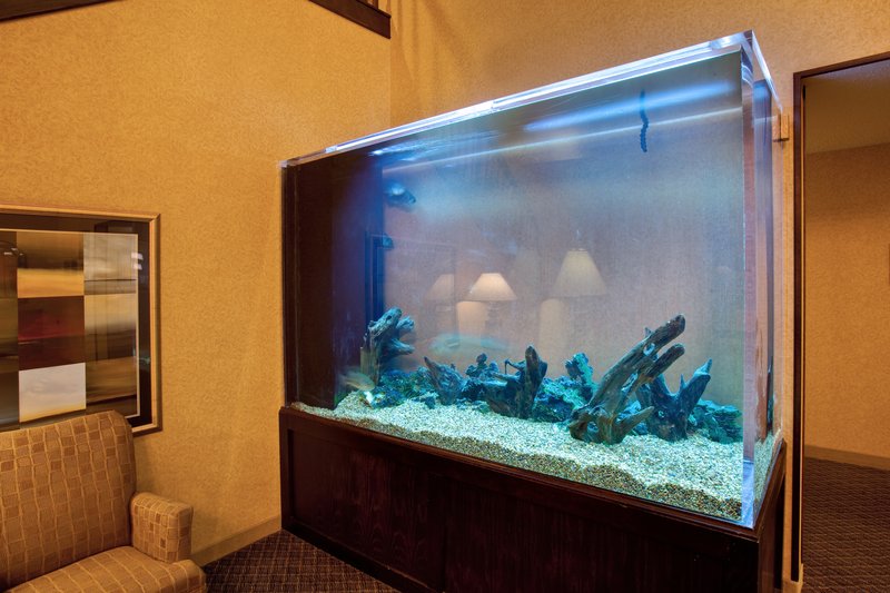 Holiday Inn Express Le Claire Riverfront-Davenport - Davenport, IA