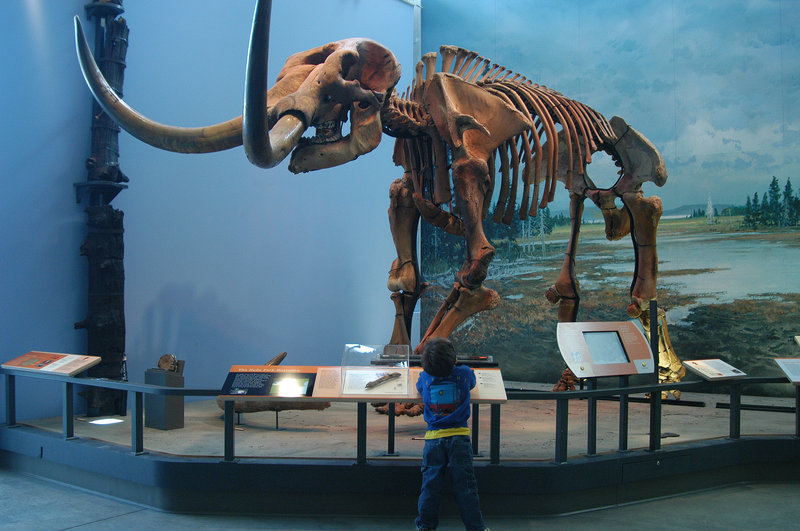 Holiday Inn Express-Horseheads - Horseheads, NY