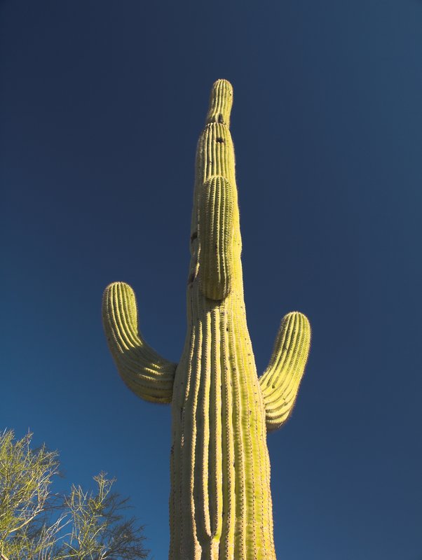 Holiday Inn Express PEORIA NORTH - GLENDALE - Peoria, AZ