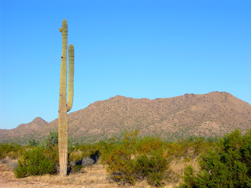 Holiday Inn Express PEORIA NORTH - GLENDALE - Peoria, AZ