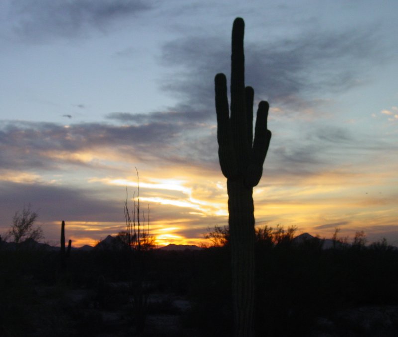 Holiday Inn Express-Florence - Florence, AZ