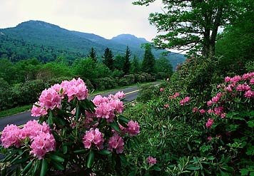 Springhill Suites By Marriott Asheville - Asheville, NC