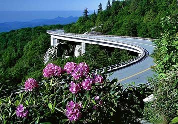 Springhill Suites By Marriott Asheville - Asheville, NC