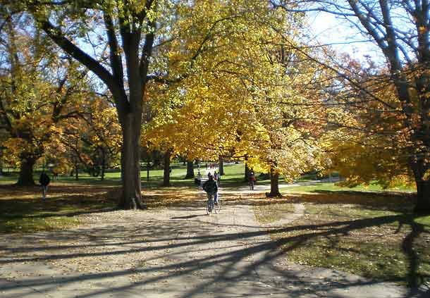 Fairfield Inn & Suites By Marriott Lansing West - Lansing, MI