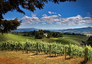 RESIDENCE INN - Hillsboro, OR