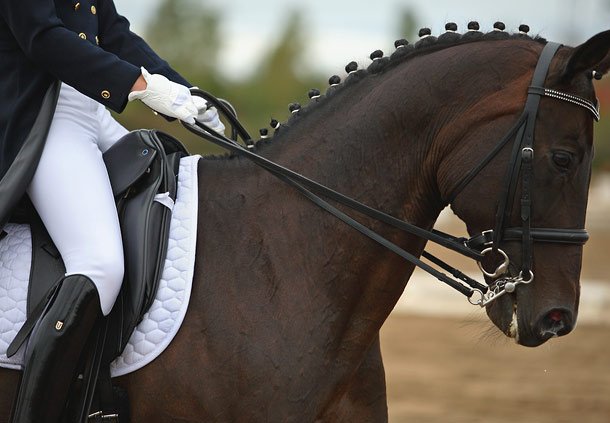 Courtyard By Marriott Roanoke Airport - Roanoke, VA