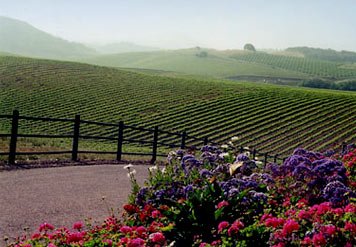 Hampton Inn San Luis Obispo - San Luis Obispo, CA