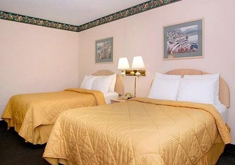 COMFORT INN - Port Richey, FL