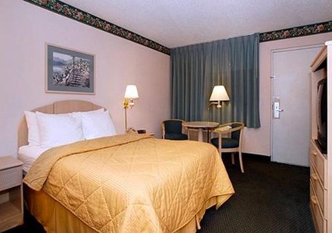 COMFORT INN - Port Richey, FL