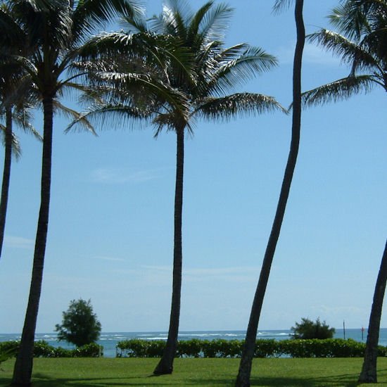 Kapaa Shore Resort