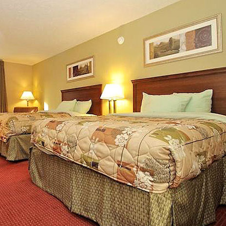 Springfield Inn Tn - Springfield, TN