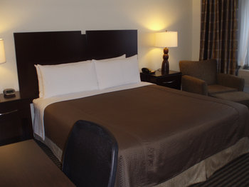 Best Western Plus River North Hotel - Room