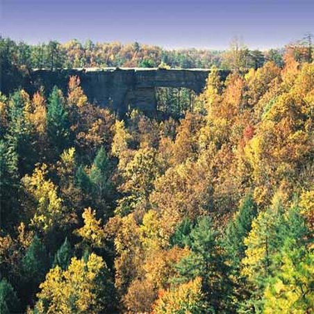 Natural Bridge State Resort - Slade, KY