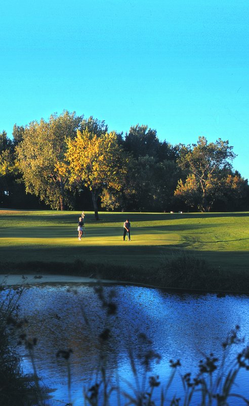 Arrowwood Resort & Conference - Alexandria, MN