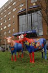 Art Hotel Amsterdam 3