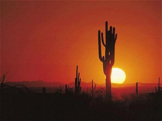 Golf Villas At Oro Valley - Tucson, AZ