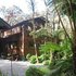Kilauea Volcano Cottages B&B