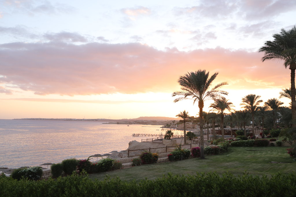 CONTINENTAL PLAZA BEACH RESORT