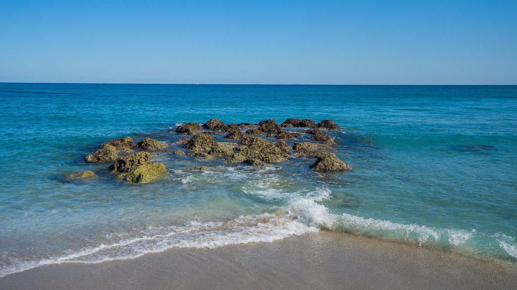Holiday Inn & Suites BOCA RATON - NORTH by IHG