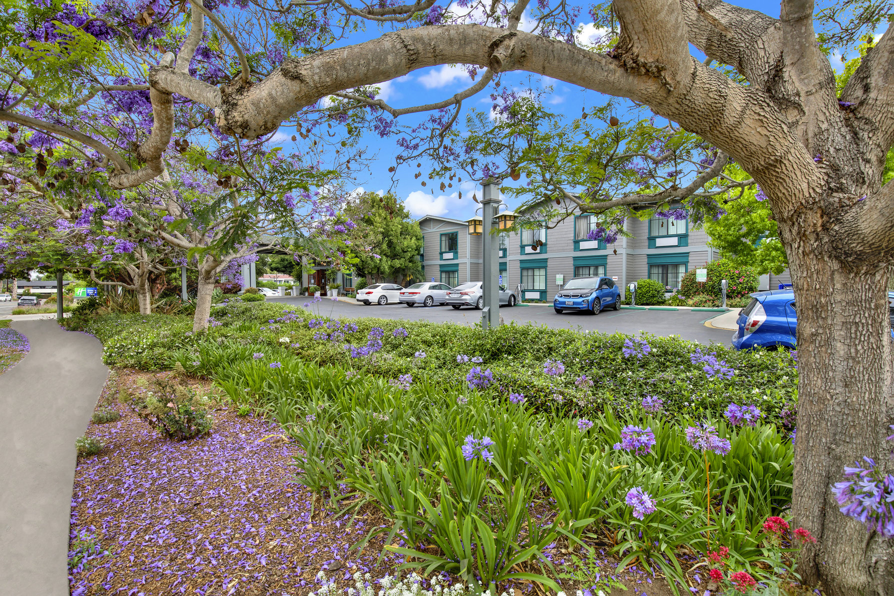Holiday Inn Express Hotel & Suites Carpinteria, an IHG Hotel - Tap to explore photos