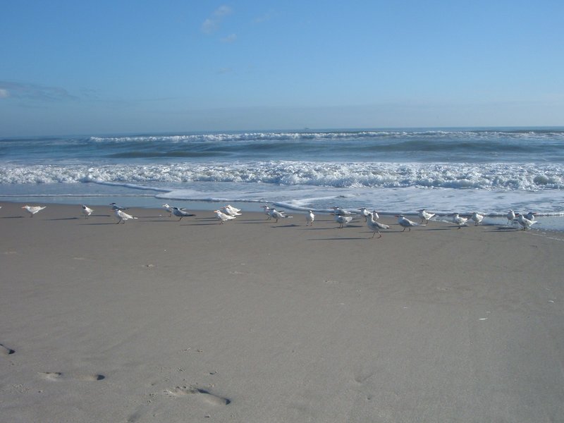 Crowne Plaza - Indialantic, FL