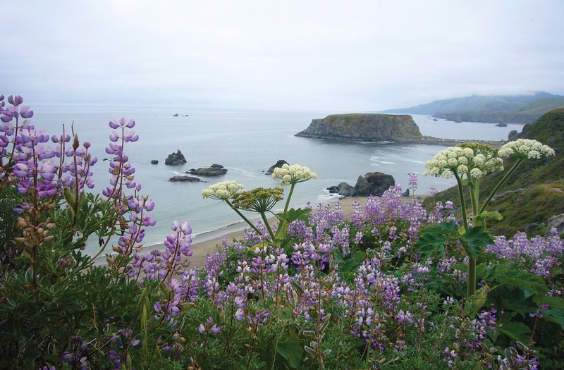 Jenner Vacation Rentals - Jenner, CA