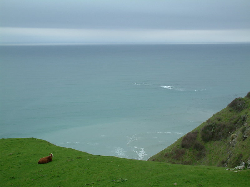 Jenner Vacation Rentals - Jenner, CA