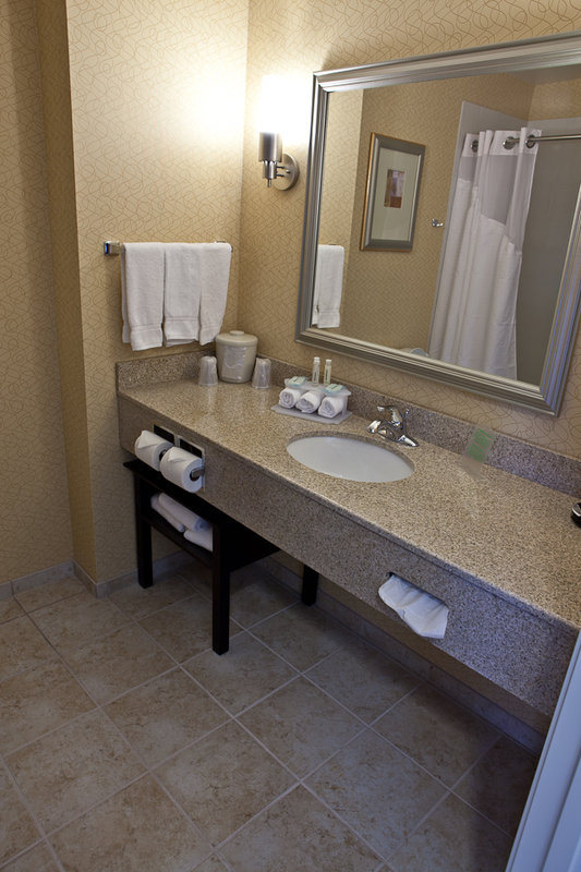 Holiday Inn Express & Suites LANSING-DIMONDALE - Lansing, MI