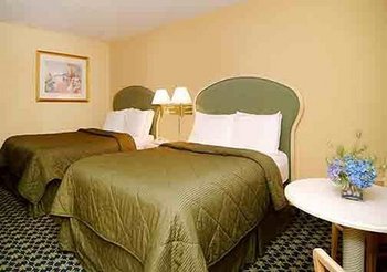 Quality Inn Univerasl Studio - Room