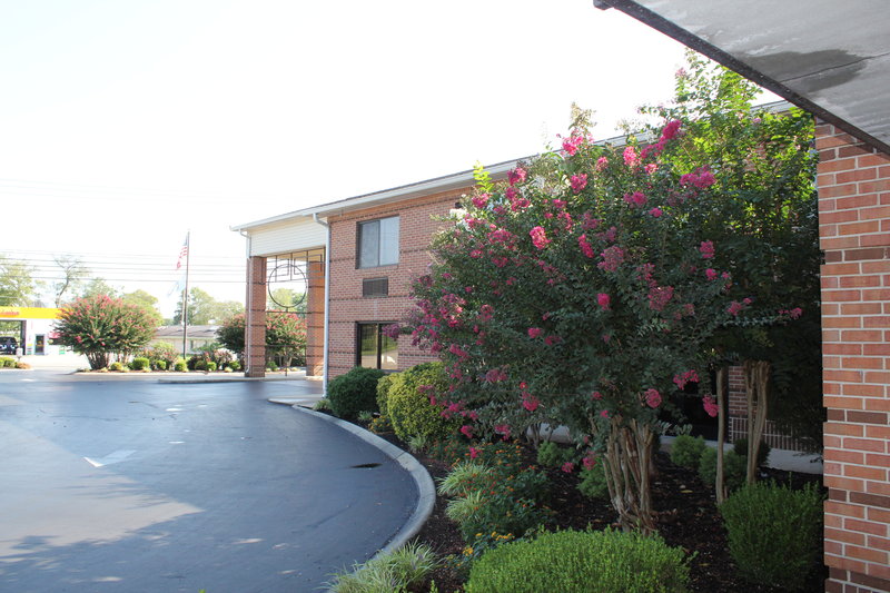 BEST WESTERN Celebration Inn & Suites - Shelbyville, TN