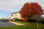 Baymont Inn And Suites