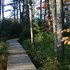 Trout Point Lodge of Nova Scotia