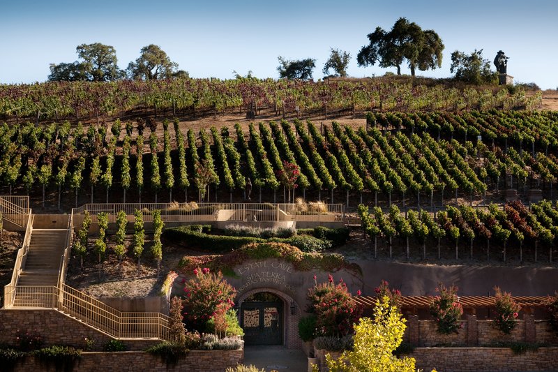 The Meritage Resort and Spa - Napa, CA