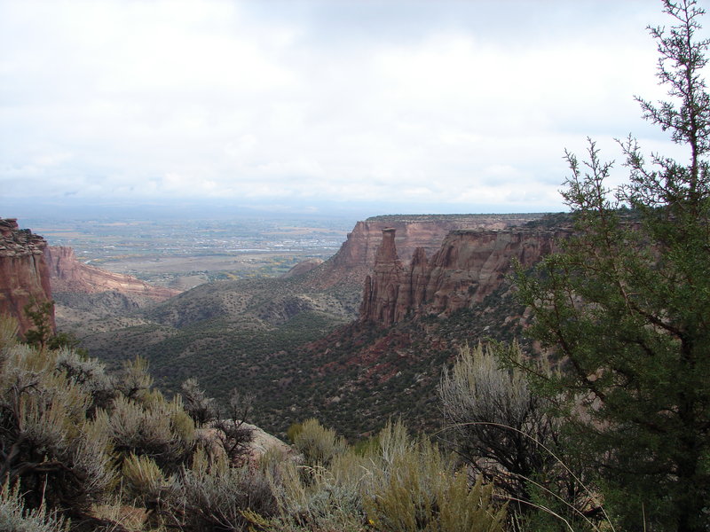 Best Western - Clifton, CO