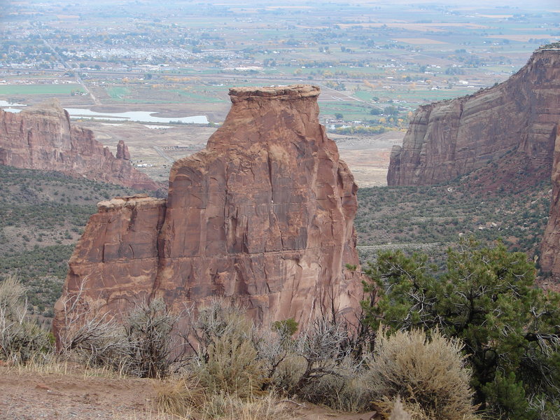 Best Western - Clifton, CO