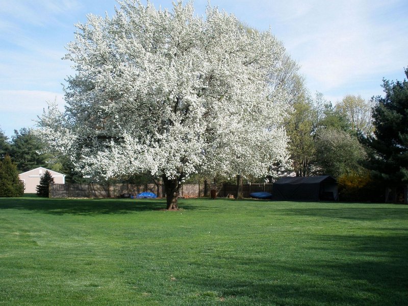 Holly Thorn House - Whitehouse Station, NJ