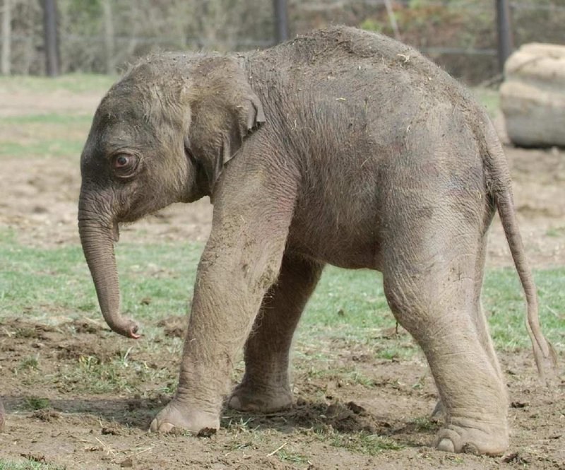 Hilton Garden Inn Toledo Perrysburg - Perrysburg, OH