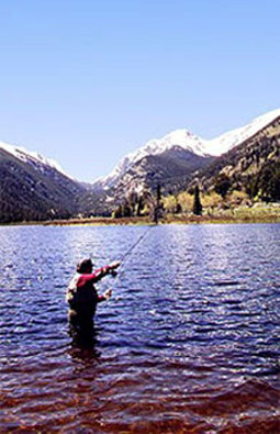 BEST WESTERN PLUS Silver Saddle - Estes Park, CO