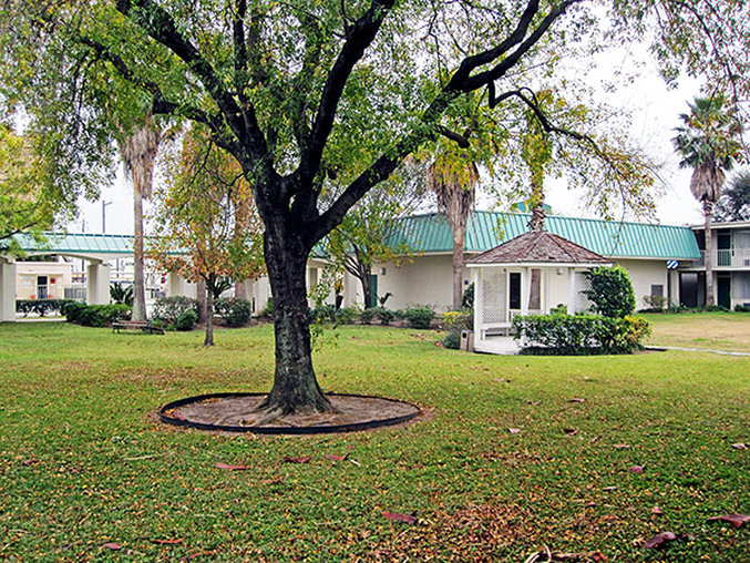 Quality Inn & Suites - Houston, TX