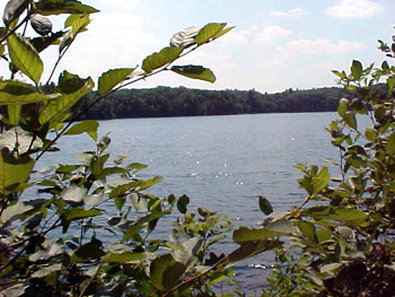 Best Western Plus-Concord - Concord, MA