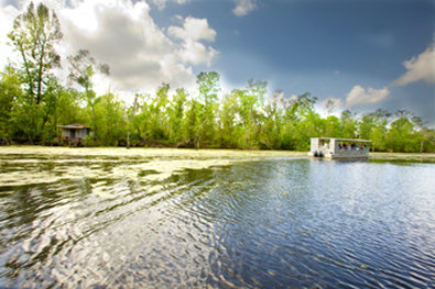 Best Western Plus-Westbank - Harvey, LA