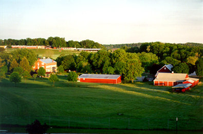 Best Western - Salisbury, MD