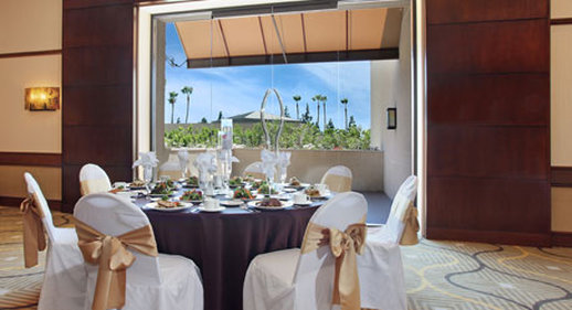 Wyndham Hotel Orange County - Costa Mesa, CA